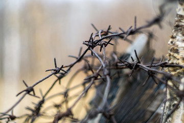 barbed wire on a background of blue sky