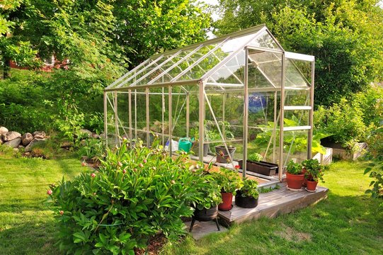 A garden center greenhouse with a colorful display of potted plants and flowers 