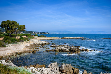 Fototapeta na wymiar Landscape at the coastal path on the Cap d'Antibes, France.