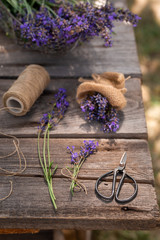 Violet and aromatic lavender freshly harvested in summer