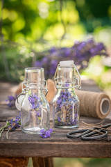 Obraz na płótnie Canvas Freshly harvested lavender in small bottles in summer