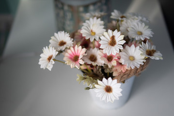 Soft tone beautiful flower in the jar