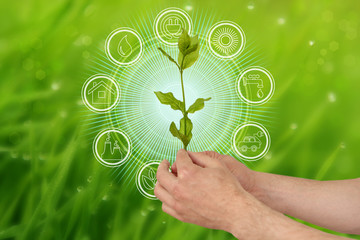 Hand holding glob against nature on green leaf with icons energy sources for renewable, sustainable...