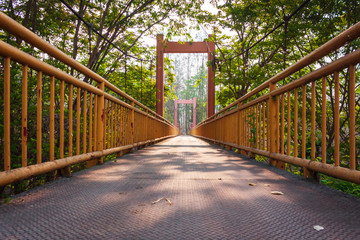 Yellow steel bridge pathway in to forest