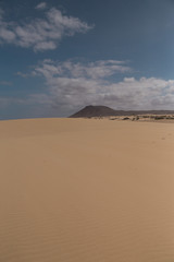 sand dunes 