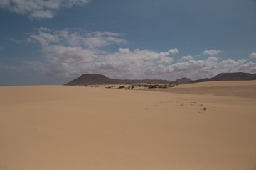Fototapeta na wymiar sand dunes 