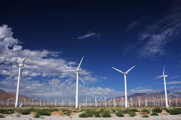 windmill farm