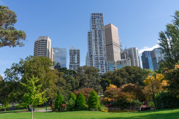Fototapeta na wymiar Melbourne Victoria Australia City view skyline from park