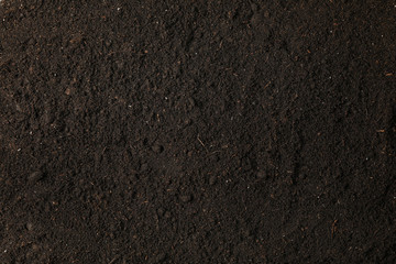 Black soil as background, space for text and top view. Environmental protection. Agriculture