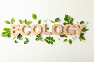 Inscription ecology and greenery on light background, space for text. Environmental protection....