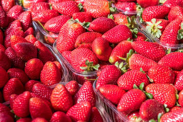 Strawberries at Shuk hacarmel market
