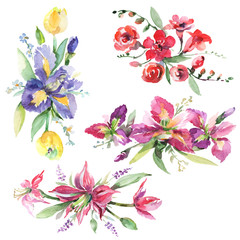 Bouquet with irises floral botanical flowers. Watercolor background set. Isolated bouquets illustration element.