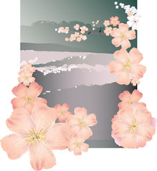 сакура_фон copy