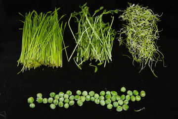 collection of fresh herbs isolated on black background