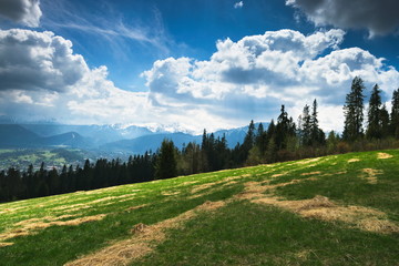 Afternoon in mountains