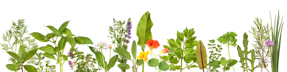 Large selection of fresh herbs - obrazy, fototapety, plakaty