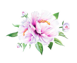 Beautiful white peony. Bouquet of flowers. Floral print. Marker drawing. Watercolor painting. Wedding and birthday composition. Greeting card. Flower painted background. Hand drawn illustration.