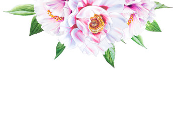 Beautiful white peony. Bouquet of flowers. Floral print. Marker drawing. Watercolor painting. Wedding and birthday composition. Greeting card. Flower painted background. Hand drawn illustration.
