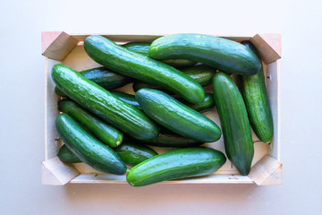 Cucumbers in a wooden crate. Concept- fresh organic vegetables, healthy food from garden.
