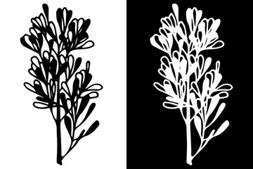 herb floral hand drawn sketch black and white doodle