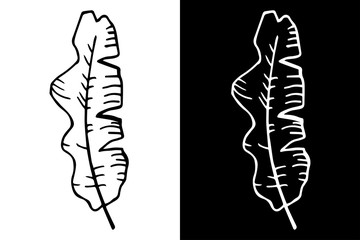 palm leaf herb floral hand drawn sketch black and white doodle