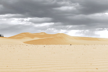 Beautiful sand dunes in the Sahara desert.