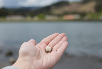 A woman is holding a shell