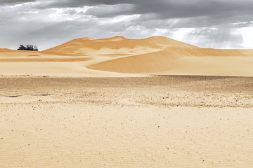 Fototapeta na wymiar Beautiful sand dunes at sunrise in the Sahara Desert. Morocco