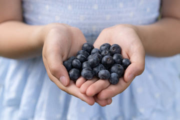 blueberries / heidelbeeren