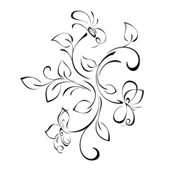 decorative floral ornament with flowers and leaves in black lines on white background