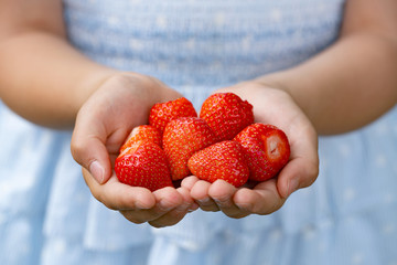 Erdbeerenzeit / strawberry season