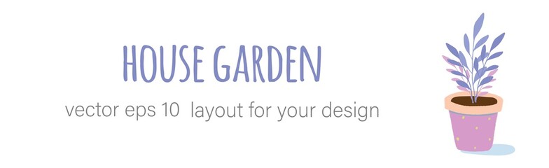 Gardening home plants in ceramic pots