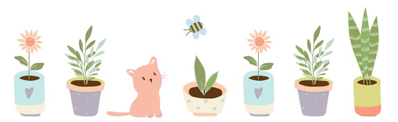 Gardening home plants in ceramic pots