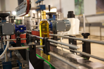 Bottles on Conveyor Belt in Factory 