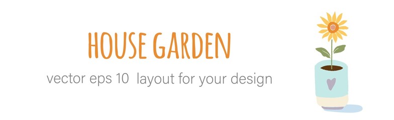 Gardening home plants in ceramic pots