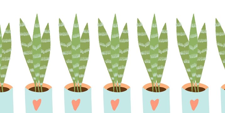 Gardening home plants in ceramic pots