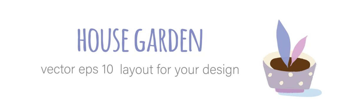 Gardening home plants in ceramic pots
