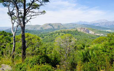 Fototapeta na wymiar Alcudian hilltop landscape view