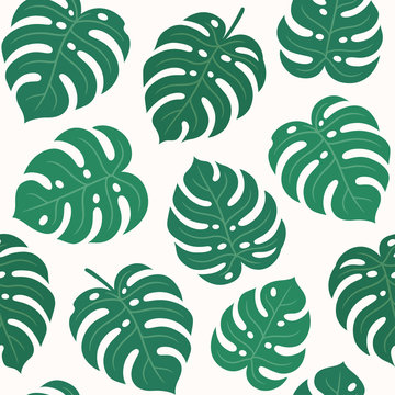 Monstera leaf pattern