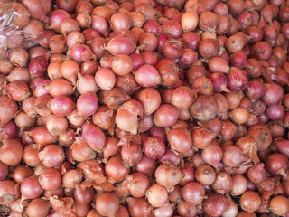 Top view of a group of onions