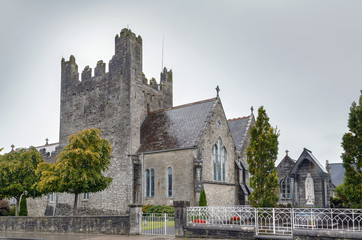 Fototapeta na wymiar Holy Trinity Abbey Church in Adare, Ireland