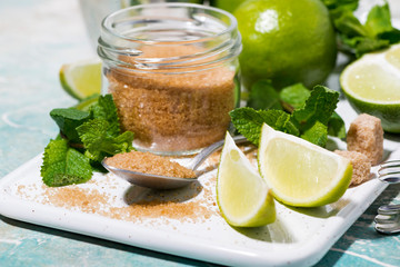 ingredients for mojito cocktail, closeup