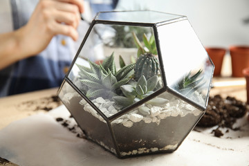 Woman and florarium with succulents at table, closeup. Transplanting home plants
