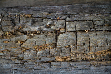 Background of old peeled cracked wood, stacked old boards