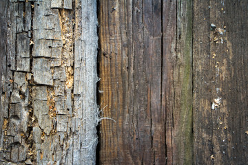 Background of old peeled cracked wood, stacked old boards