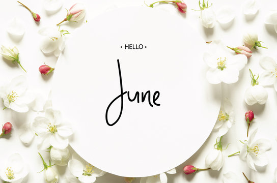 Inscription Hello June. Summer fresh flowers. Top view. - image