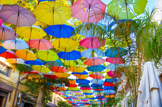 Colorful umbrellas decorating the top of the street in Cypriot Nicosia. The umbrella serves also as a shade and protection against the sunshine. Among the umbrellas there are green tree branches