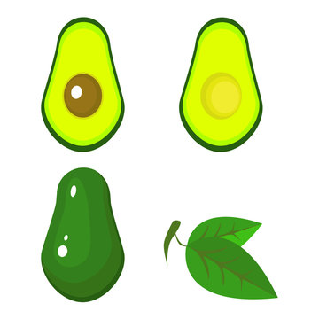 Realistic vector avocados. Whole and cut avocado isolated on white background