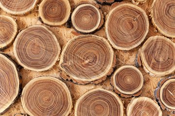 tree cut into round pieces