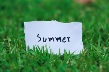 Summer note on grass